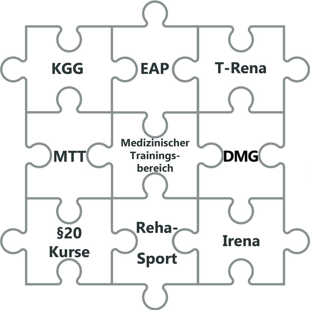 Puzzle der Bereiche im medizinischen Trainingsbereich: KGG, EAP, T-Rena, MTT, DMG, §20-Kurse, Reha-Sport und Irena